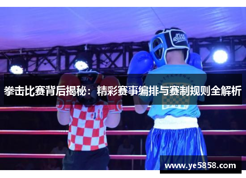 拳击比赛背后揭秘：精彩赛事编排与赛制规则全解析