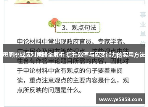 每周挑战应对策略全解析 提升效率与应变能力的实用方法