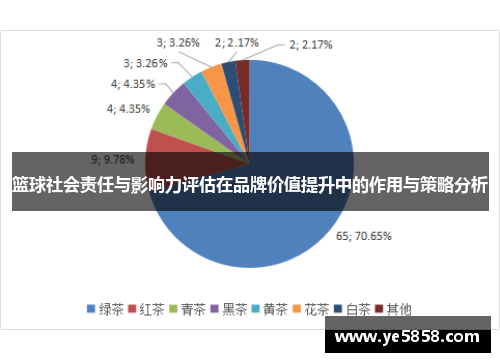 篮球社会责任与影响力评估在品牌价值提升中的作用与策略分析