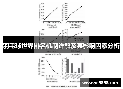 羽毛球世界排名机制详解及其影响因素分析
