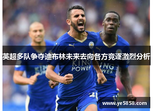 英超多队争夺迪布林未来去向各方竞逐激烈分析
